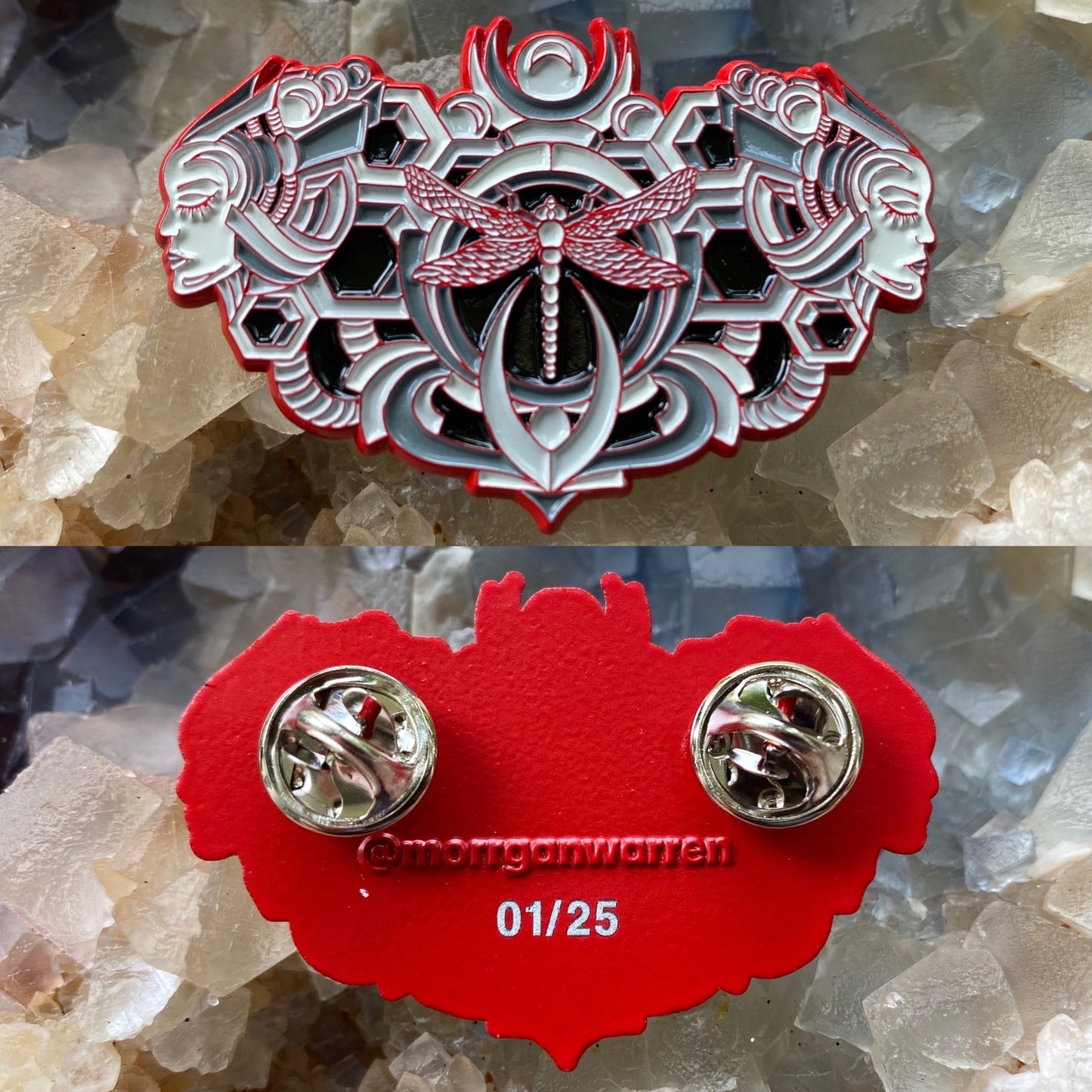 Anisoptera Pins