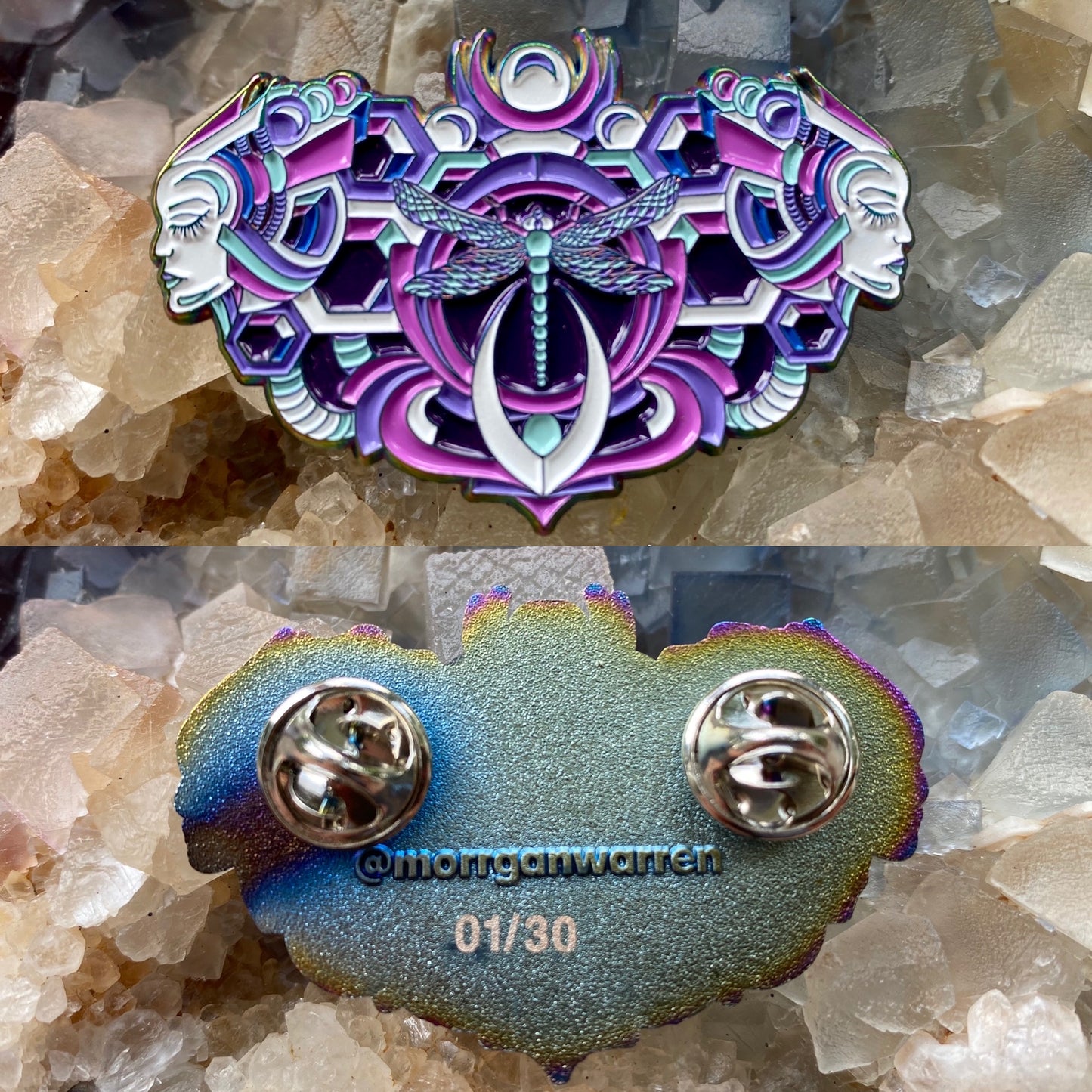 Anisoptera Pins